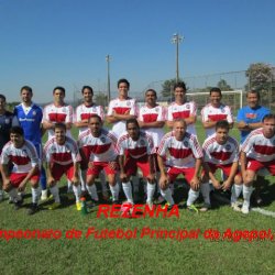 campeonato futebol principal 2013 21